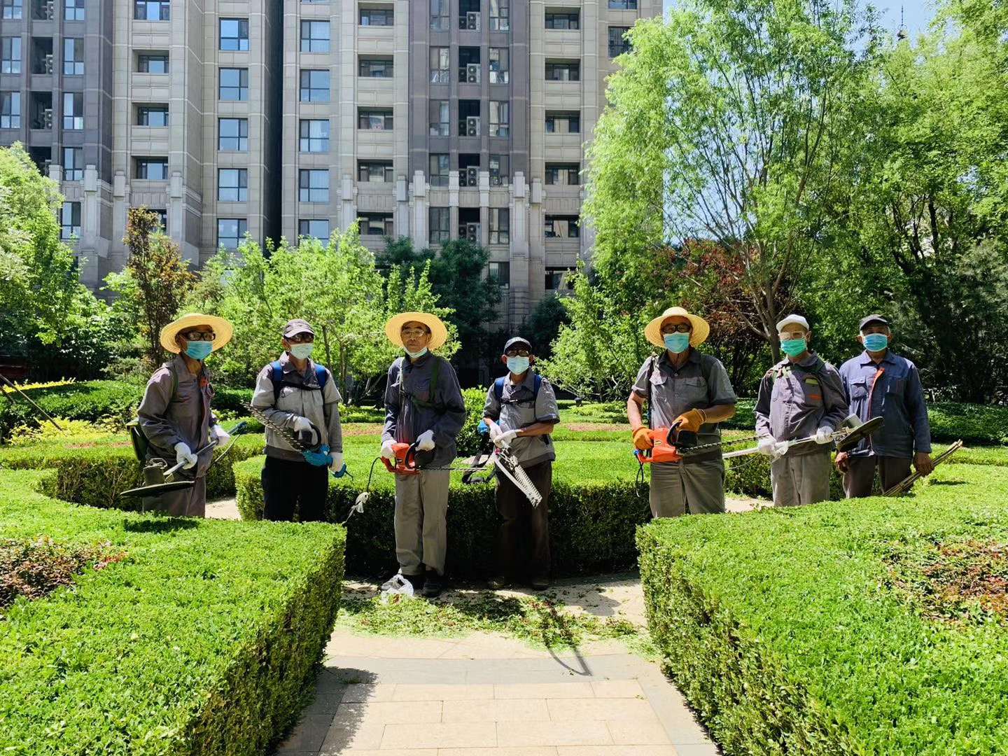 夏日绿化施工作业—北京公司